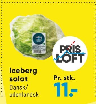 Iceberg salat
