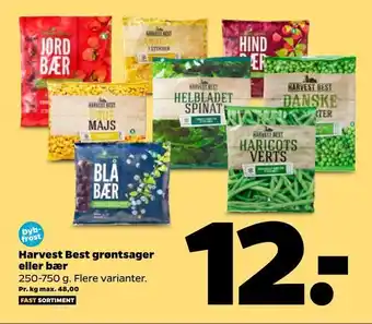 Netto Harvest best grøntsager eller bær tilbud