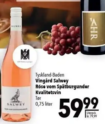 Citti Vingård salwey rosé vom spätburgunder tilbud