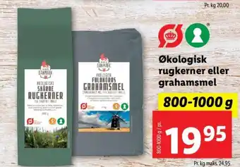 Økologisk Rugkerner eller Grahamsmel