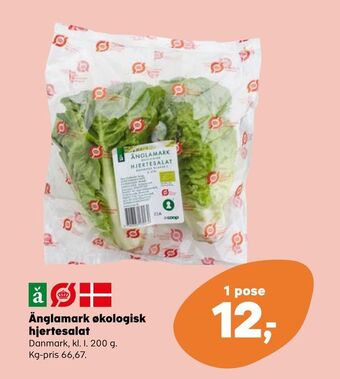 SuperBrugsen Änglamark økologisk hjertesalat tilbud