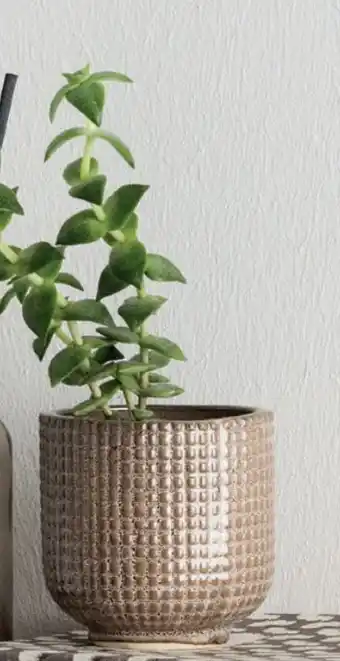 Kvadrat urtepotte