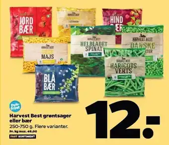 Netto Harvest best grøntsager el. bær tilbud