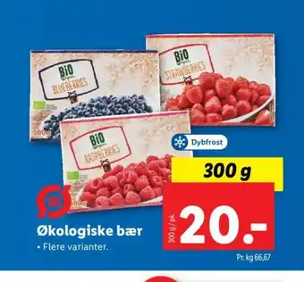 Lidl Økologiske Bær tilbud