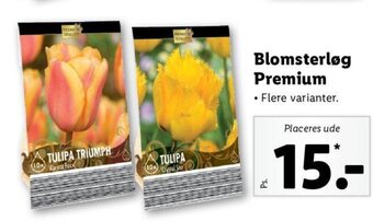 Lidl Blomsterløg Premium tilbud