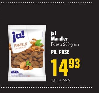Poetzsch Padborg Ja! mandler tilbud