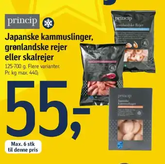 Føtex Princip kammuslinger tilbud