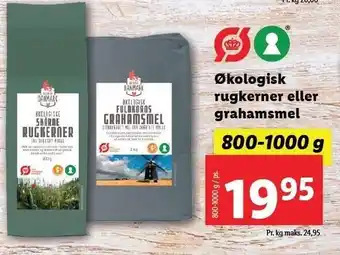 Økologisk rugkerner el. grahamsmel
