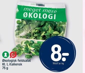 REMA 1000 Økologisk feldsalat tilbud
