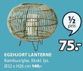 JYSK Egehjort Lanterne tilbud