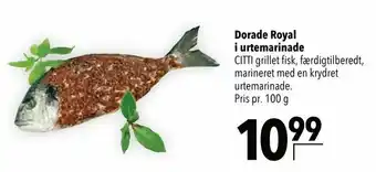 Citti Dorade Royal i urtemarinade tilbud