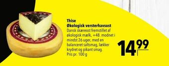 Citti Thise Økologisk versterhavsost tilbud