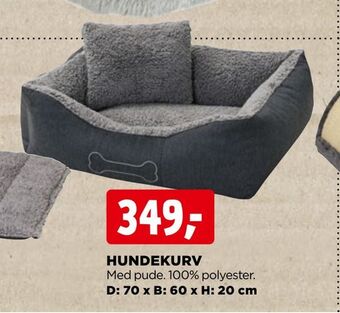 Hundekurv