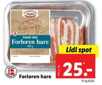 Vilstrupgård forloren hare