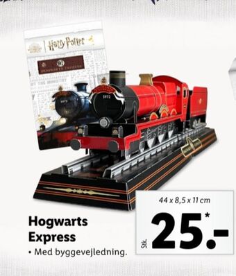Harry potter tog