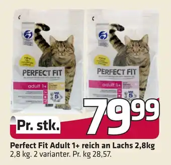 Perfect fit adult 1+ reich an lachs 2,8kg