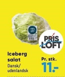 Bilka Iceberg salat tilbud