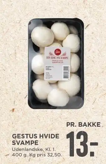 Gestus hvide svampe