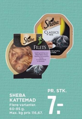 MENY Sheba kattemad tilbud