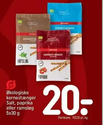 REMA 1000 Økologiske kernestænger m. salt, paprika el. ramsløg tilbud