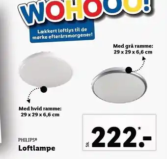 Lidl Loftlampe tilbud