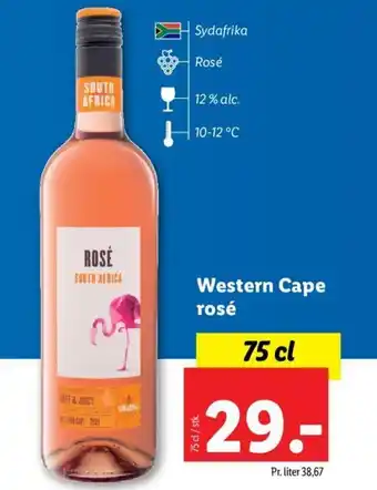 Lidl Western Cape Rosé tilbud