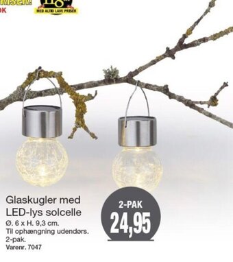 Harald Nyborg Glaskugler Med LED-Lys Solcelle tilbud