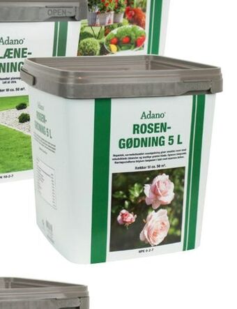 Harald Nyborg Rose tilbud