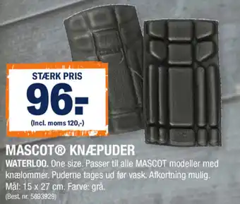 Stark Mascot Knæpuder Waterloo tilbud