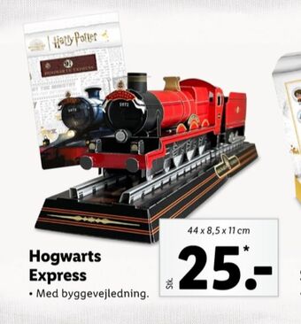 Harry potter tog