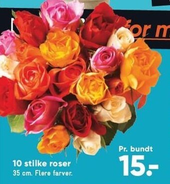 Bilka 10 stilke roser tilbud