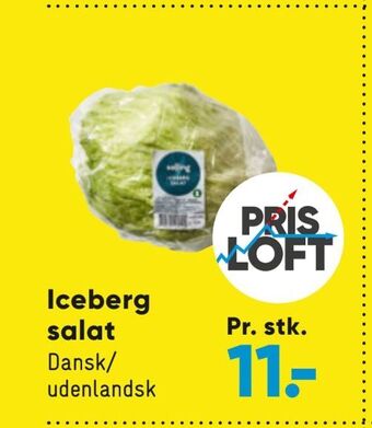 Bilka Iceberg salat tilbud