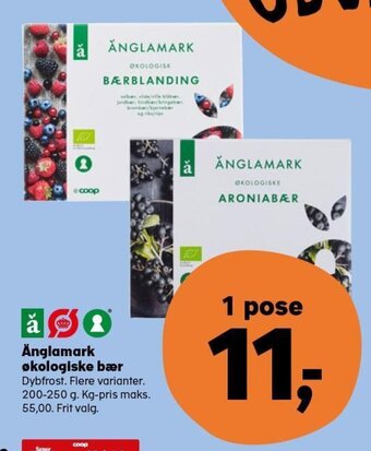 SuperBrugsen Änglamark Økologiske Bær tilbud