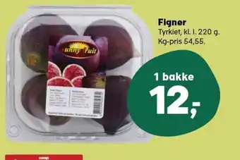 Figner
