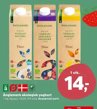 Kvickly Thise yoghurt naturel tilbud