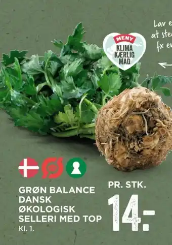 Grøn balance knoldselleri
