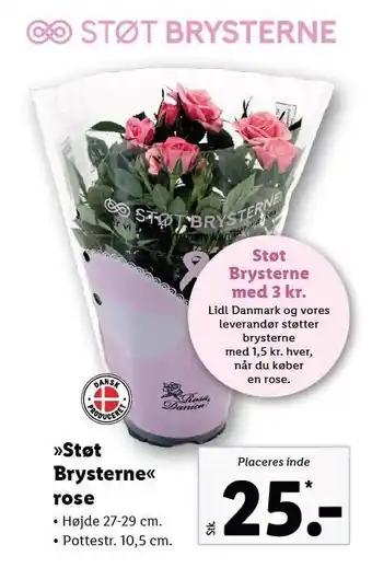 Lidl Støt brysterne rose tilbud