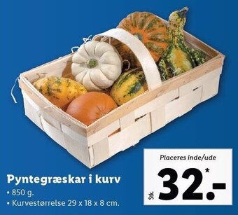 Lidl Pyntegræskar i kurv tilbud