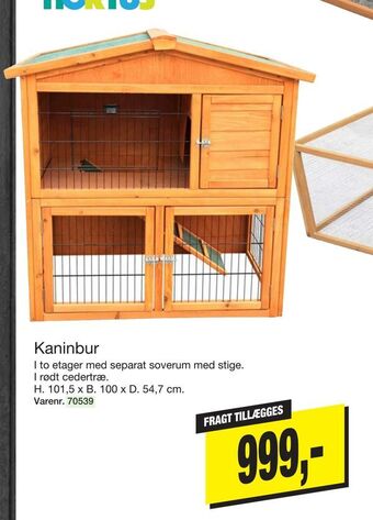 Kaninbur