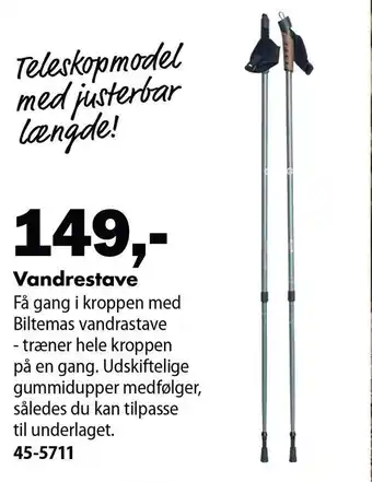 Vandrestave