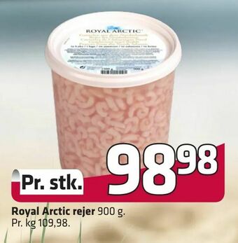 Royal Arctic rejer