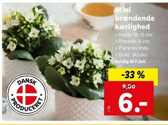 Let-Køb Mini brændende kærlighed tilbud