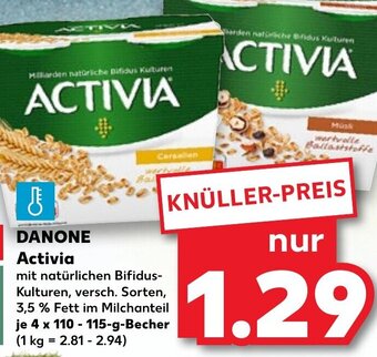 Kaufland DE Danone Activia tilbud