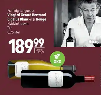 Citti Vingård gérard bertrand cigalus blanc eller rouge tilbud
