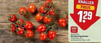 REWE DE Mini Roma Rispentomaten tilbud