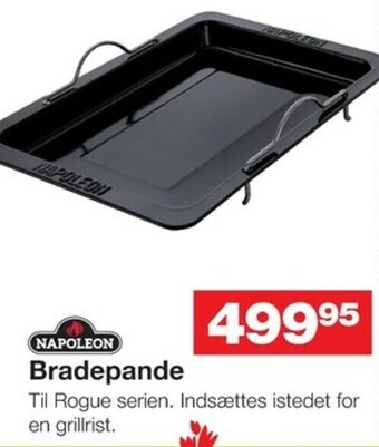 Bradepande