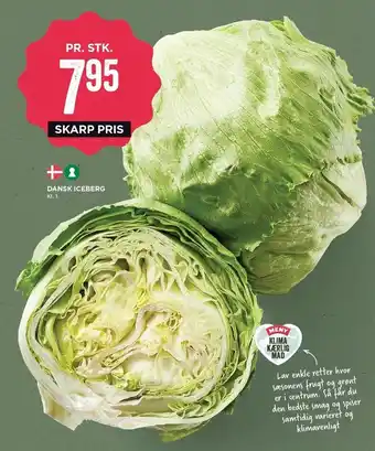 Iceberg