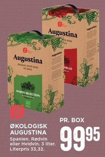 Økologisk augustina