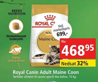 Maxi Zoo Royal Canin Adult Maine Coon tilbud