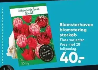 Bilka Blomsterhaven blomsterløg storkøb tilbud